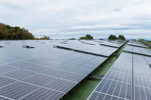 假如在我國的沙漠都鋪上光伏太陽能板,發出的電可供多少人使用