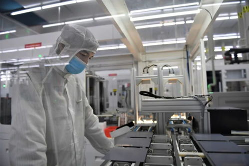 虞愛華 服務好現有企業就是最好招商引資