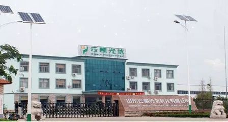 云凱公司招賢納士丨未來(lái),我們一起創(chuàng)造