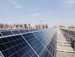 渾南7座辦公樓實現 太陽能供電