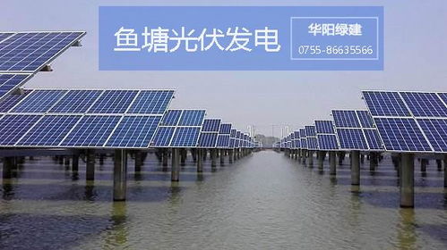 在魚塘上面裝光伏發電有什么優勢
